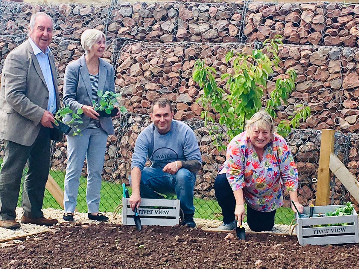 Allotments-at-River-View-Garden-Village—Derek-and-Pearl-Biddle-picture
