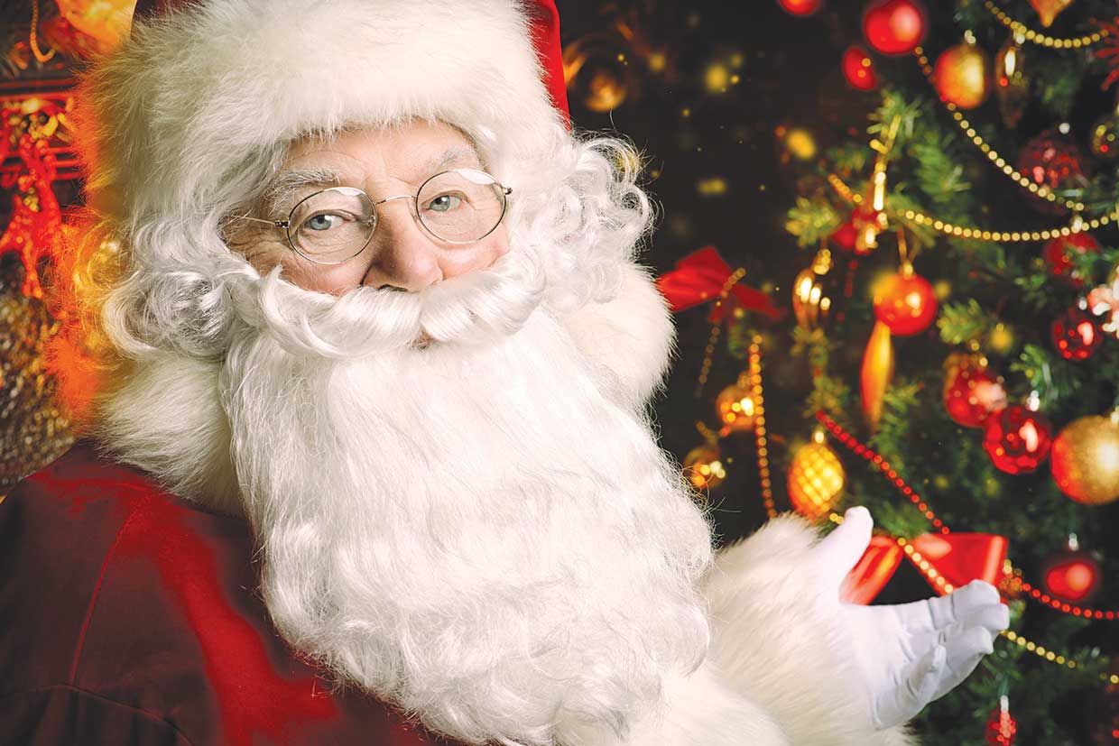 xmas_bluebell_MAIN