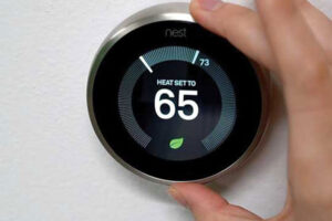 nest_web