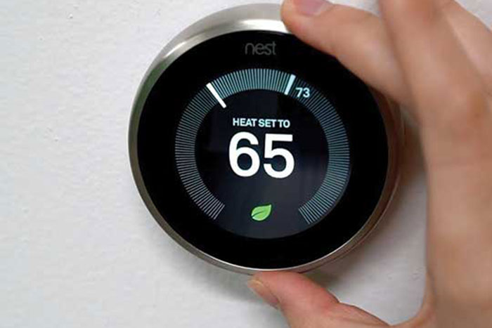 nest_web
